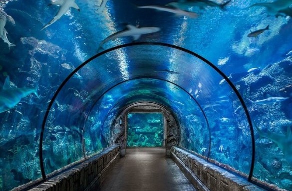 Hurghada Grand Aquarium 2