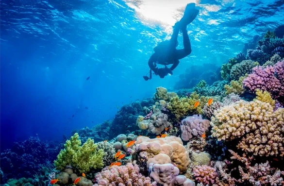 Scuba Diving Spots 1