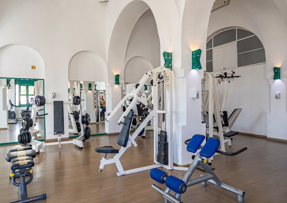 Arabella-hotel-gym-1 Arabella-hotel-gym-1