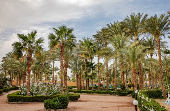 giftun-hotel-outdoor-landscape-11