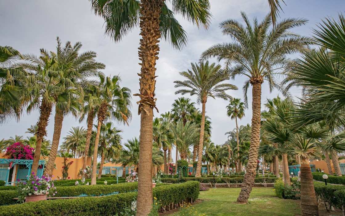 giftun-hotel-outdoor-landscape-3