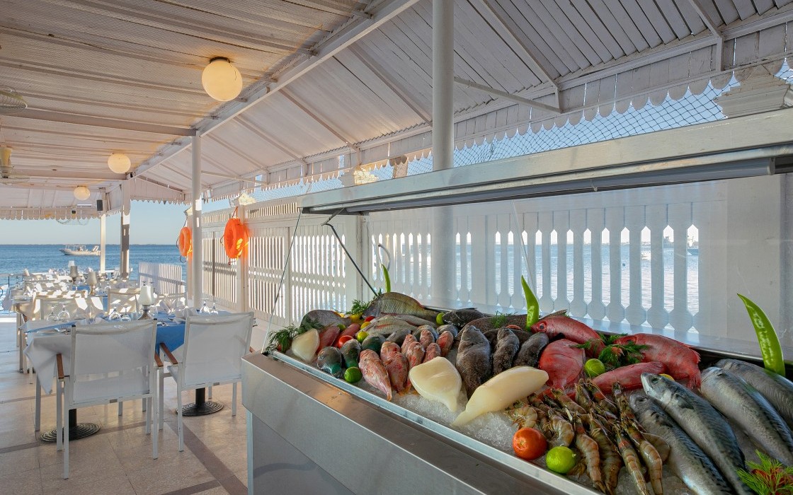 marlin-hotel-fish-restaurant-1