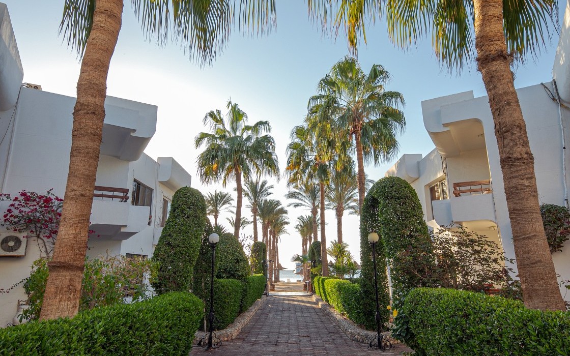 marlin-hotel-hurghada-landscape-4