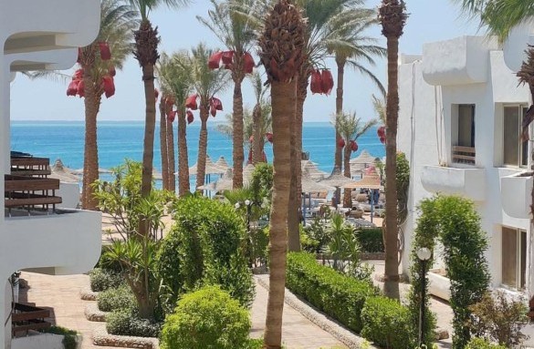 WhatsApp Image 2026-02-02 at 12.02.57 PM