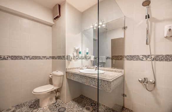 wadi-lahmy-hotel-deluxe-room-bathroom