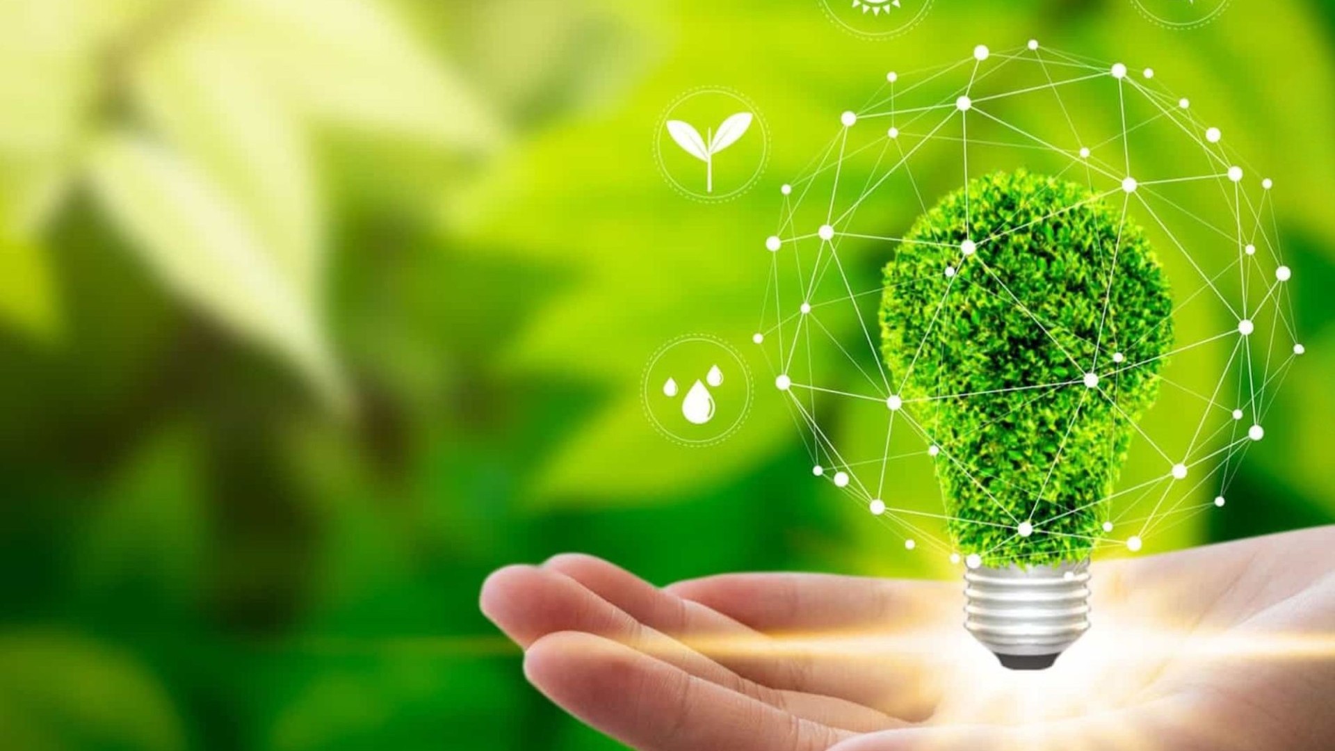 sustainability-banner-004